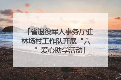 省退役军人事务厅驻林场村工作队开展“六一”爱心助学活动