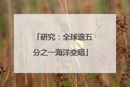 研究：全球逾五分之一海洋变暗