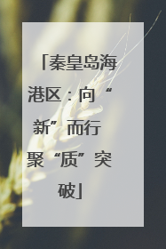秦皇岛海港区：向“新”而行 聚“质”突破