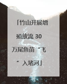 竹山开展增殖放流 30万尾鱼苗“飞”入堵河