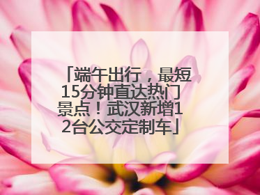 端午出行，最短15分钟直达热门景点！武汉新增12台公交定制车