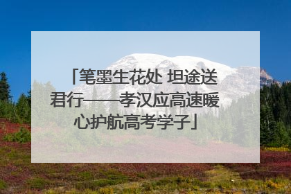 笔墨生花处 坦途送君行——孝汉应高速暖心护航高考学子