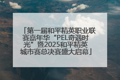 第一届和平精英职业联赛嘉年华“PEL奇遇时光”暨2025和平精英城市赛总决赛盛大启幕