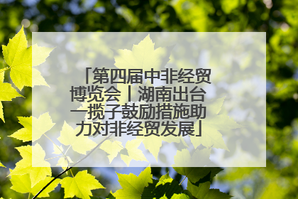第四届中非经贸博览会丨湖南出台一揽子鼓励措施助力对非经贸发展