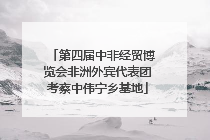 第四届中非经贸博览会非洲外宾代表团考察中伟宁乡基地