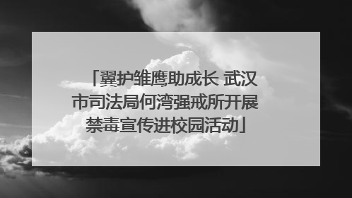 翼护雏鹰助成长 武汉市司法局何湾强戒所开展禁毒宣传进校园活动