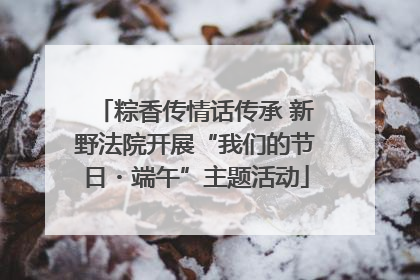 粽香传情话传承 新野法院开展“我们的节日・端午”主题活动