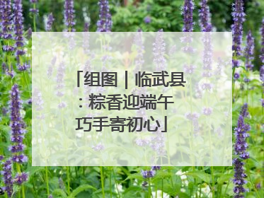 组图｜临武县：粽香迎端午 巧手寄初心