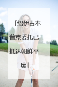 绍伊古奉普京委托已抵达朝鲜平壤