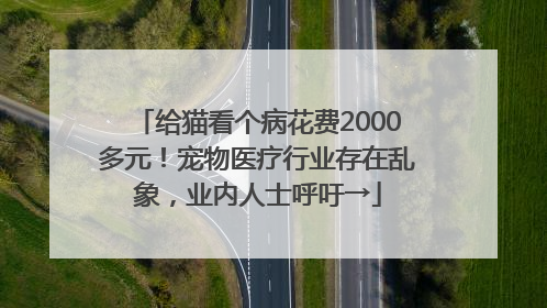 给猫看个病花费2000多元！宠物医疗行业存在乱象，业内人士呼吁→
