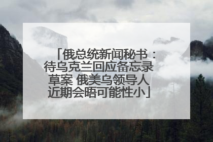 俄总统新闻秘书：待乌克兰回应备忘录草案 俄美乌领导人近期会晤可能性小