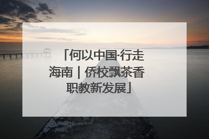 何以中国·行走海南｜侨校飘茶香 职教新发展