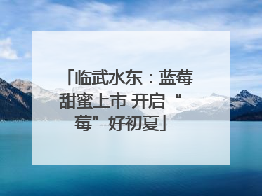 临武水东：蓝莓甜蜜上市 开启“莓”好初夏
