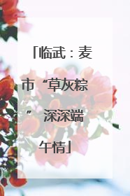 临武：麦市“草灰粽” 深深端午情