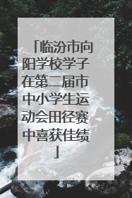 临汾市向阳学校学子在第二届市中小学生运动会田径赛中喜获佳绩