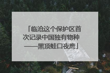 临沧这个保护区首次记录中国独有物种——黑顶蛙口夜鹰