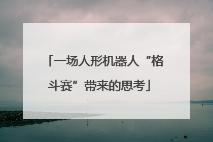 一场人形机器人“格斗赛”带来的思考
