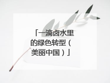 一滴卤水里的绿色转型（美丽中国）