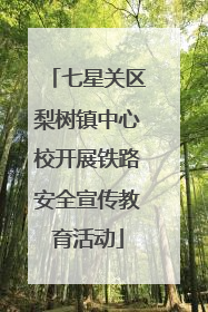 七星关区梨树镇中心校开展铁路安全宣传教育活动