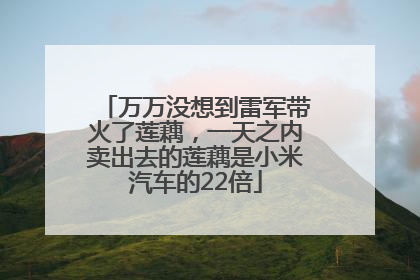 万万没想到雷军带火了莲藕，一天之内卖出去的莲藕是小米汽车的22倍