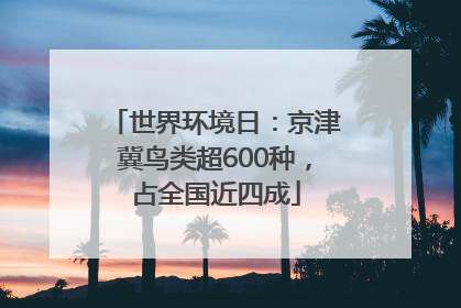 世界环境日：京津冀鸟类超600种，占全国近四成