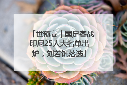 世预赛｜国足客战印尼25人大名单出炉，刘若钒落选