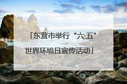 东营市举行“六·五”世界环境日宣传活动