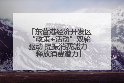 东营港经济开发区“政策+活动”双轮驱动 提振消费能力 释放消费潜力