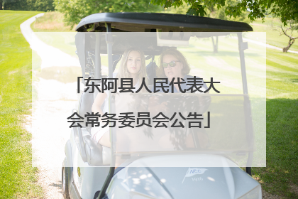 东阿县人民代表大会常务委员会公告