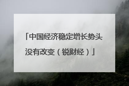 中国经济稳定增长势头没有改变（锐财经）