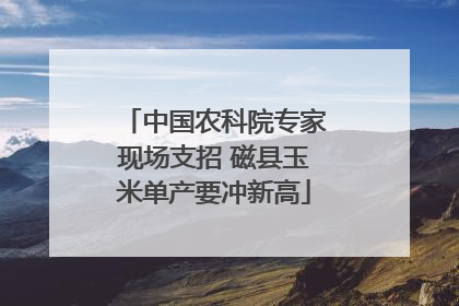 中国农科院专家现场支招 磁县玉米单产要冲新高