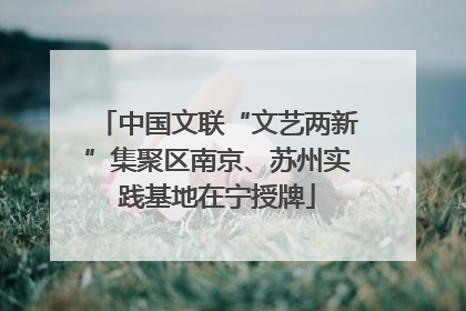 中国文联“文艺两新”集聚区南京、苏州实践基地在宁授牌