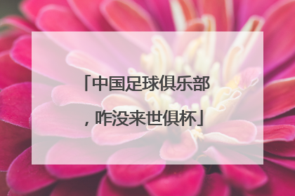中国足球俱乐部，咋没来世俱杯