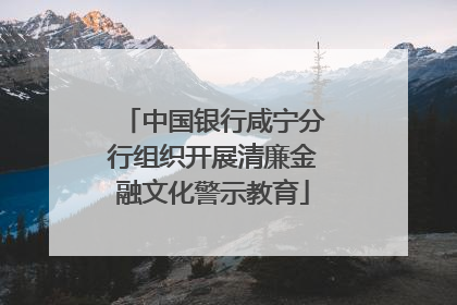 中国银行咸宁分行组织开展清廉金融文化警示教育
