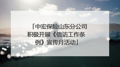 中宏保险山东分公司积极开展《信访工作条例》宣传月活动