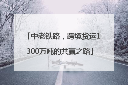 中老铁路，跨境货运1300万吨的共赢之路