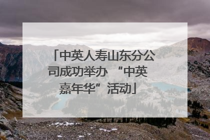 中英人寿山东分公司成功举办 “中英嘉年华”活动