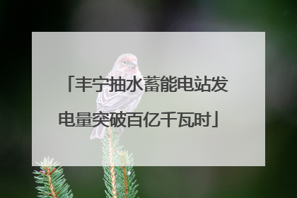 丰宁抽水蓄能电站发电量突破百亿千瓦时