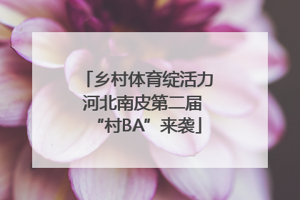 乡村体育绽活力 河北南皮第二届“村BA”来袭