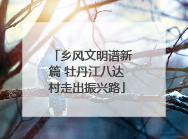 乡风文明谱新篇 牡丹江八达村走出振兴路