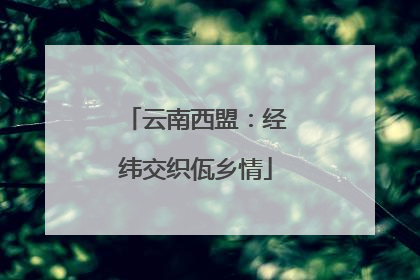 云南西盟：经纬交织佤乡情