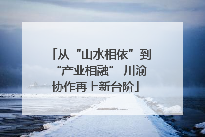 从“山水相依”到“产业相融” 川渝协作再上新台阶