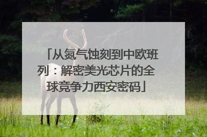 从氮气蚀刻到中欧班列：解密美光芯片的全球竞争力西安密码