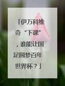 伊万科维奇“下课”，谁能让国足圆梦百年世界杯？