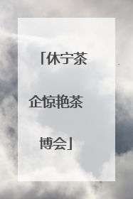 休宁茶企惊艳茶博会