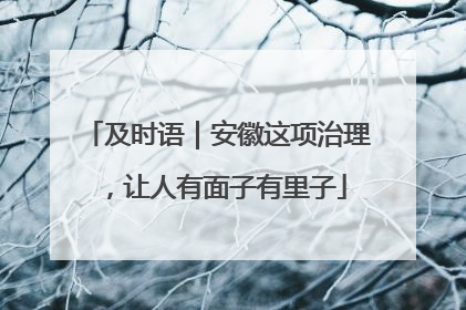 及时语｜安徽这项治理，让人有面子有里子