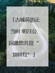 古城荷韵正当时 明月公园邀您共赏“别样红”