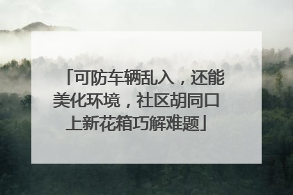 可防车辆乱入，还能美化环境，社区胡同口上新花箱巧解难题