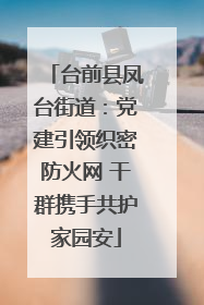 台前县凤台街道：党建引领织密防火网 干群携手共护家园安