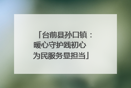 台前县孙口镇：暖心守护践初心 为民服务显担当